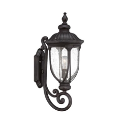 Laurens One Light Black Coral Wall Sconce with Seeded Glass Globe 