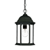 Madison Hanging Light with Clear Beveled Glass Panes
