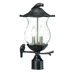 Avian Two Light Black Coral Post Lantern with Seeded Glass 