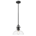 Virginia One Light Matte Black Pendant with Clear Glass Shade - ACC1708