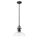 Virginia One Light Matte Black Pendant with Clear Glass Shade - ACC1708