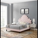 Gwyneth Tufted Performance Velvet Queen Platform Bed - Pink - Style A - MOD10183