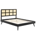 Sidney Cane and Wood Queen Platform Bed With Splayed Legs - Black - MOD11621