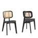Habitat Wood Dining Side Chair Set of 2 - Black - MOD11796
