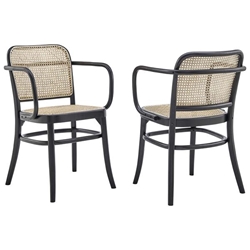 Winona Wood Dining Chair Set of 2 - Black 