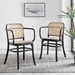 Winona Wood Dining Chair Set of 2 - Black - MOD11811