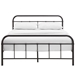 Maisie Queen Stainless Steel Bed Frame - Brown - MOD7770