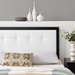 Draper Tufted Queen Fabric and Wood Headboard - Black White - MOD8743