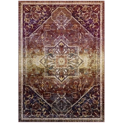 Success Kaede Transitional Distressed Vintage Floral Persian Medallion 4x6 Area Rug - Multicolored 