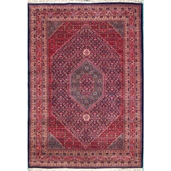Davanagere Hand Knotted Rug 6 x 9 