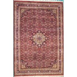 Delhi Hand Knotted Rug 6 x 9 