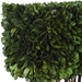 Preserved Boxwood Rectangular Topiary - UTT2843
